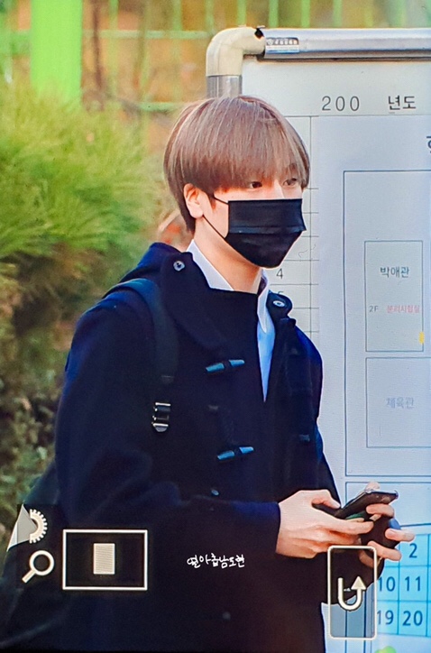마차타이 이미지