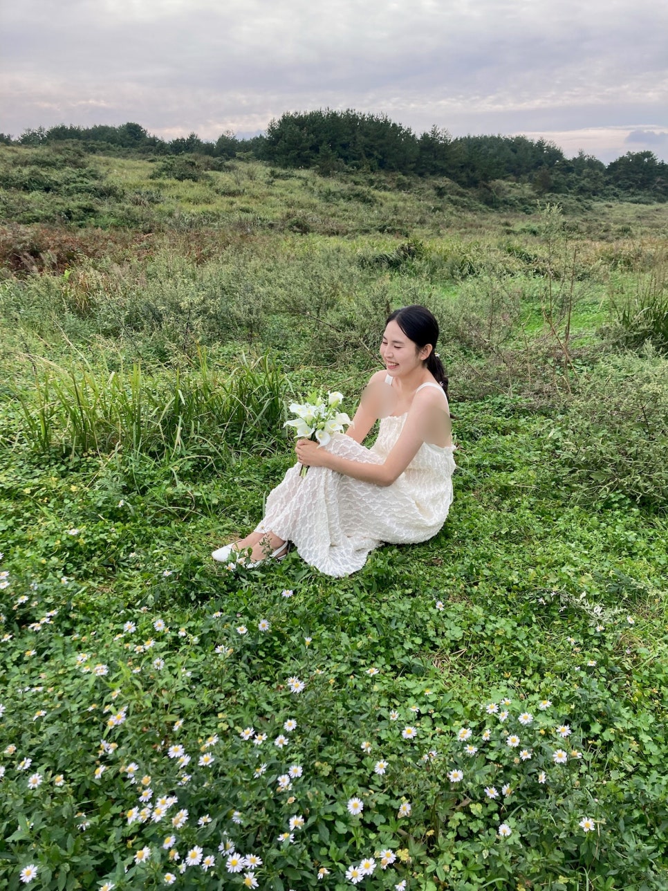 사월애꽃 이미지