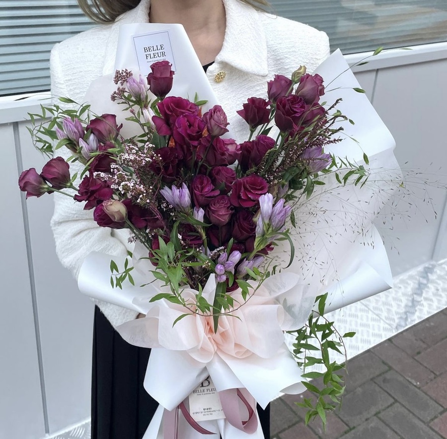 벨르플레르 이미지
