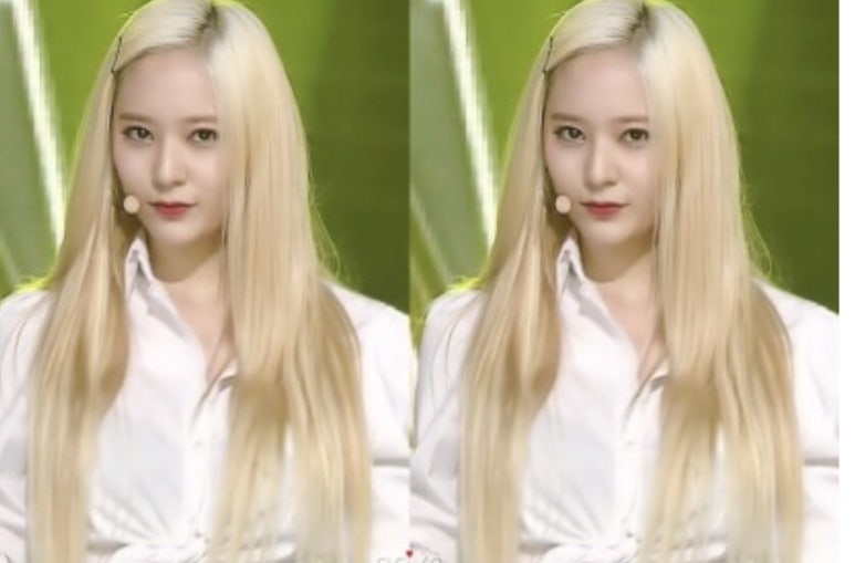 머리깍쟁이 이미지