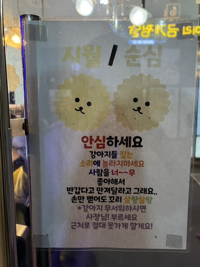 비비베이프 이미지