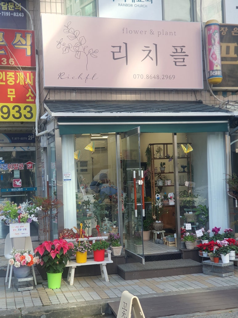 리치플 이미지