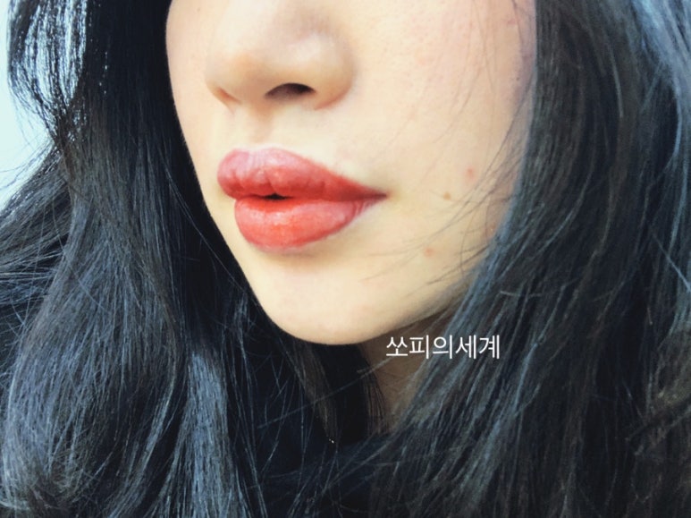 쏘피의 세계 이미지