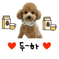 두유테이블 이미지