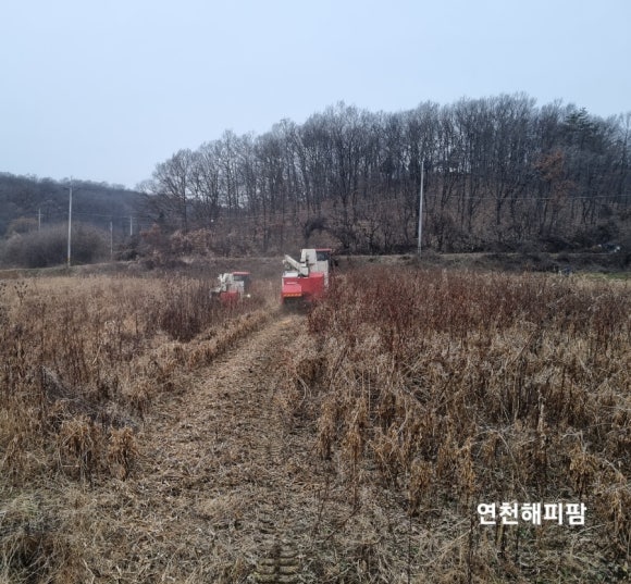 비해피팜 이미지