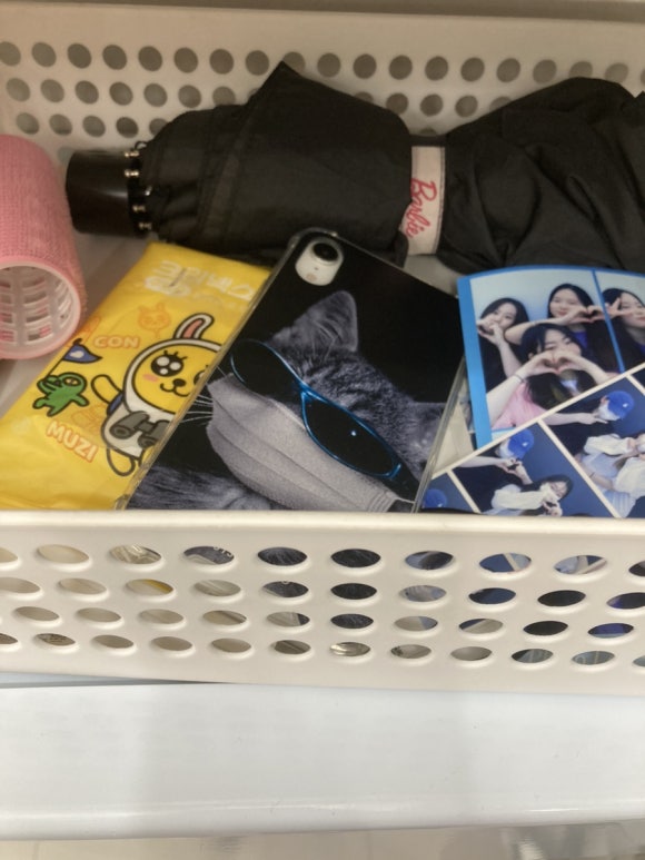 샌디랩 이미지