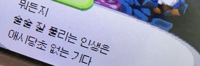 애시당초 이미지