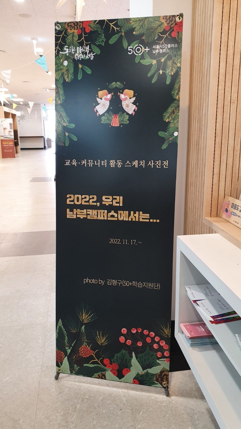 미미존 이미지