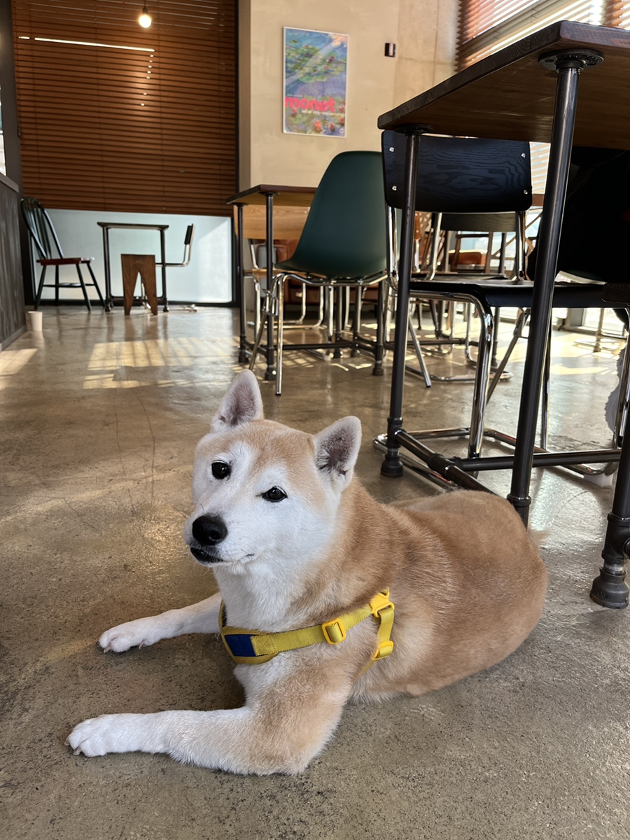플리파커피 이미지