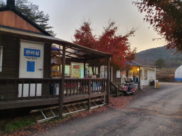 도미노피자예산점 이미지