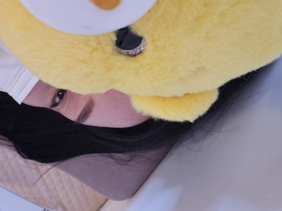 살롱 드 피치 이미지