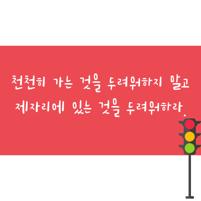 (주)셀피글로벌 이미지