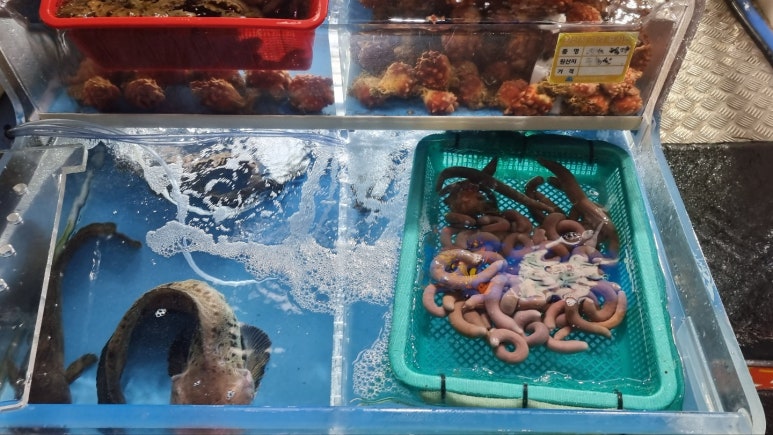 돌섬횟집 이미지