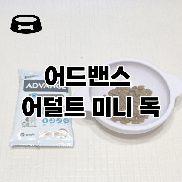 어드밴스케이 이미지