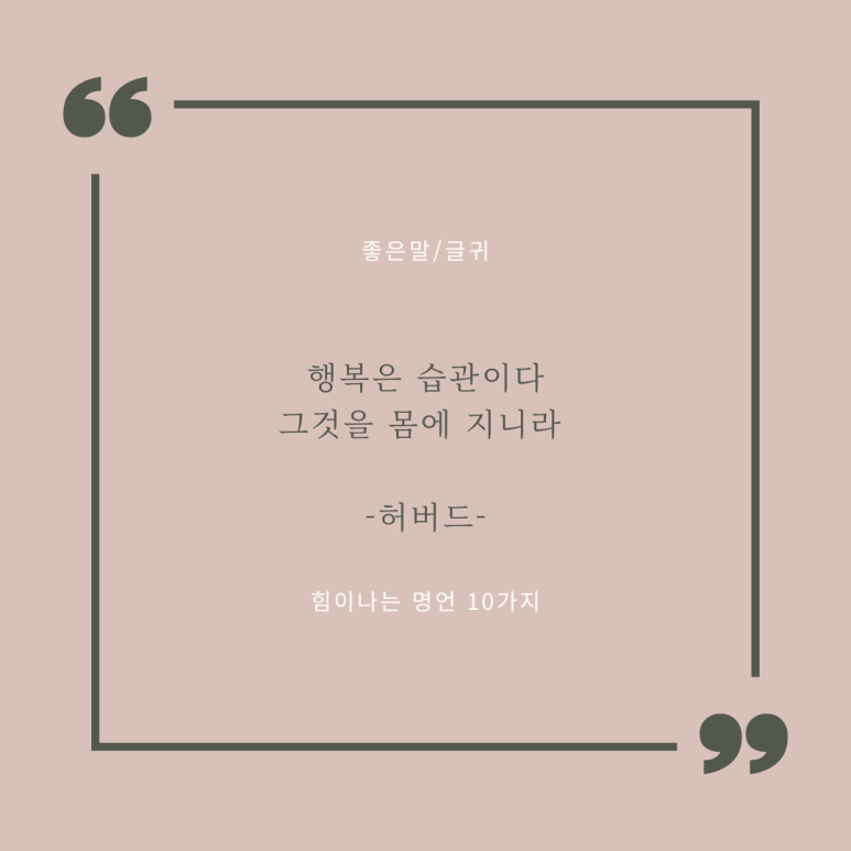 소호의아침 이미지