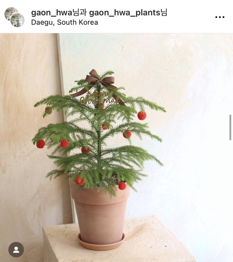 가온화 이미지