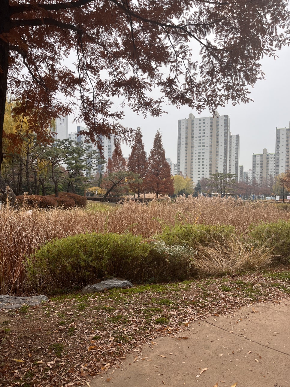 (주)클로리스 이미지