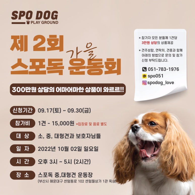 스포독 이미지
