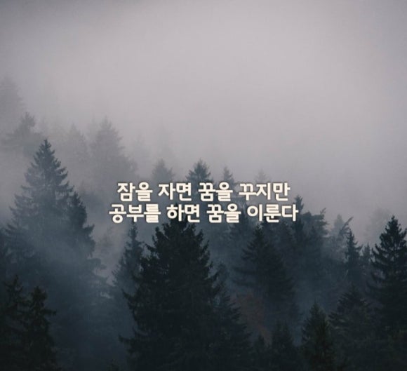 스터디어스스터디카페상도점 이미지