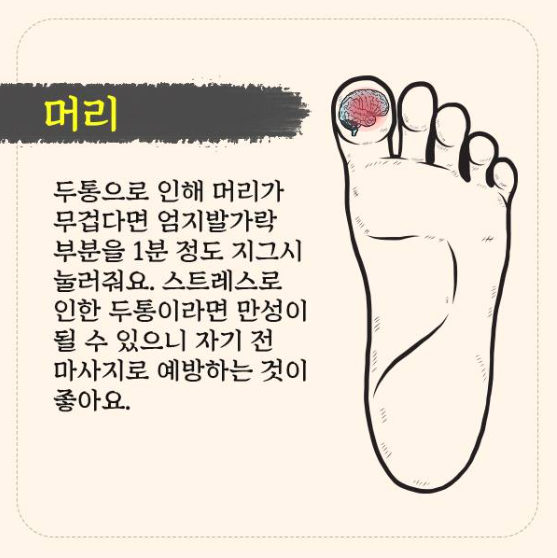 참조은(주) 이미지