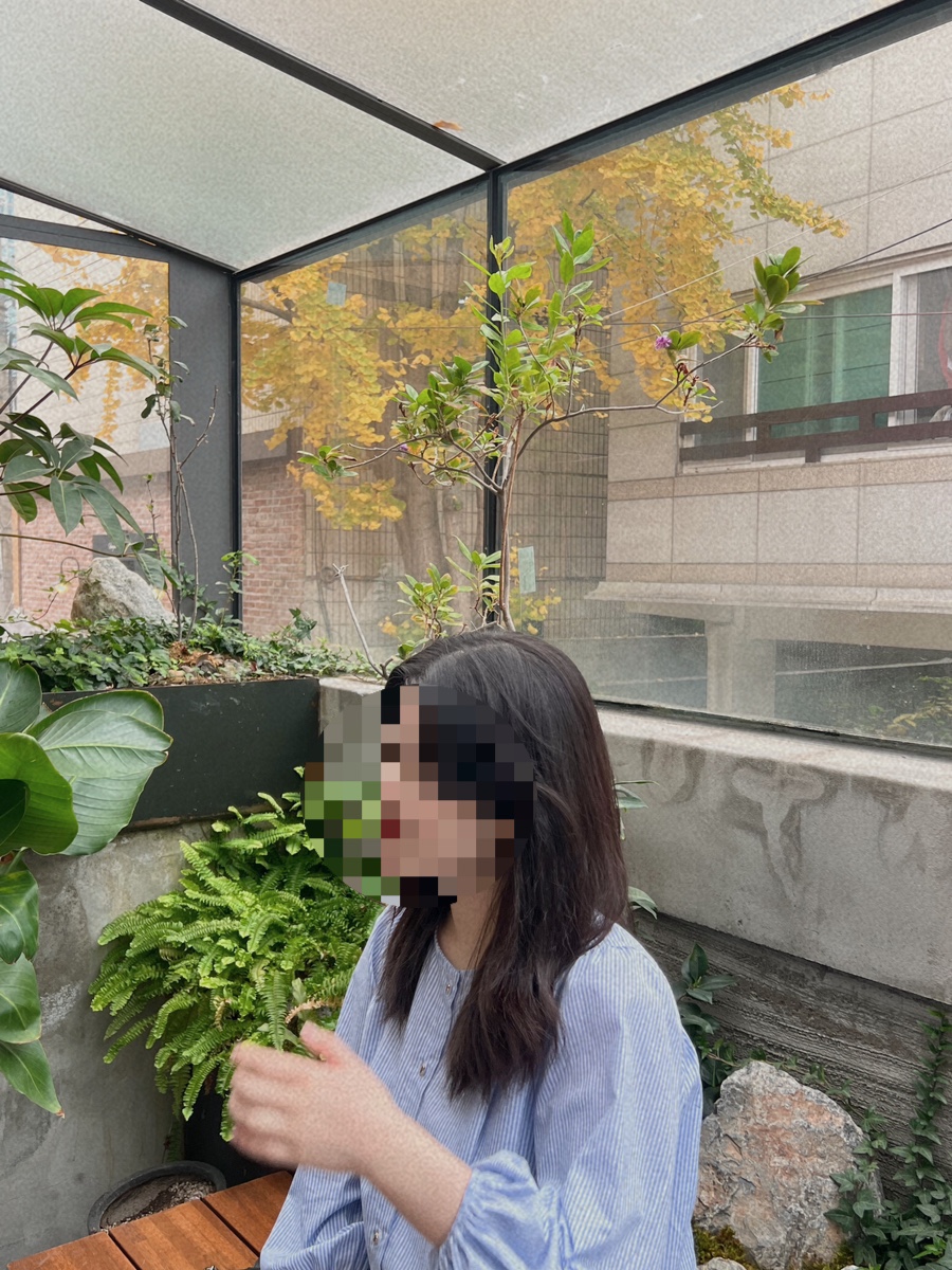 어프리콧케이크 이미지