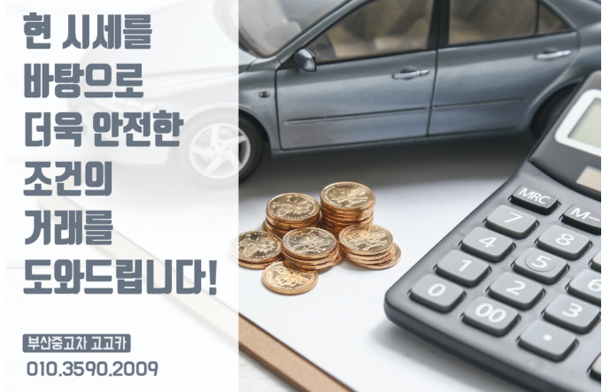 고고카 이미지