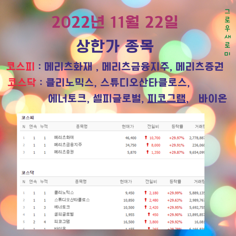 (주)셀피글로벌 이미지