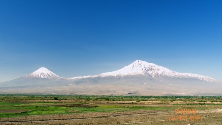 하윌라(Havilah) 이미지