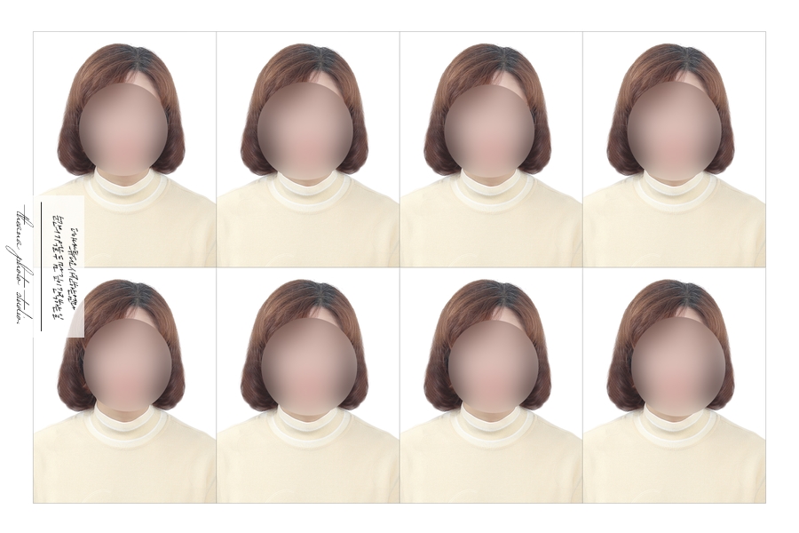 양지사진관 이미지
