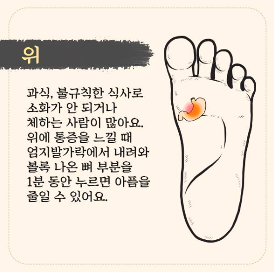 참조은(주) 이미지
