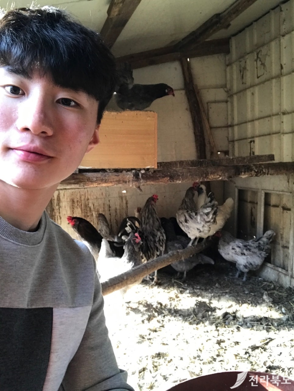 좋은인연농수산 이미지
