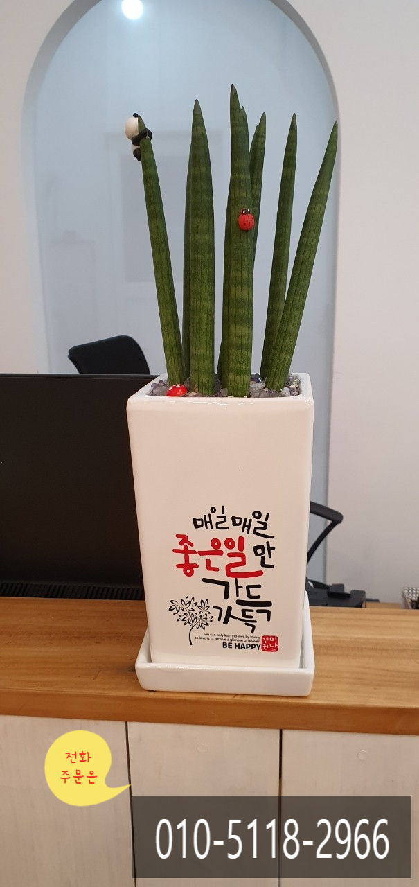 마법사의보석가게 이미지