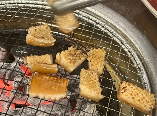 홍고집 이미지