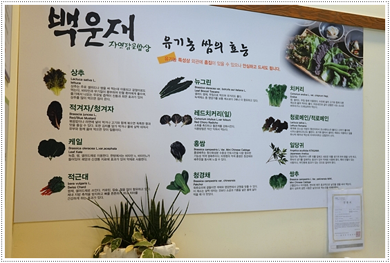 자연담은 이미지