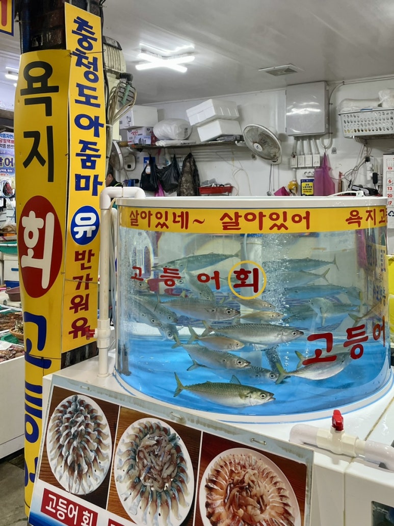 중앙꽃수족관 이미지