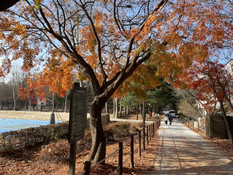 시민의숲 이미지