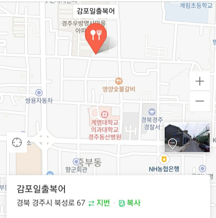 감포일출복어 이미지