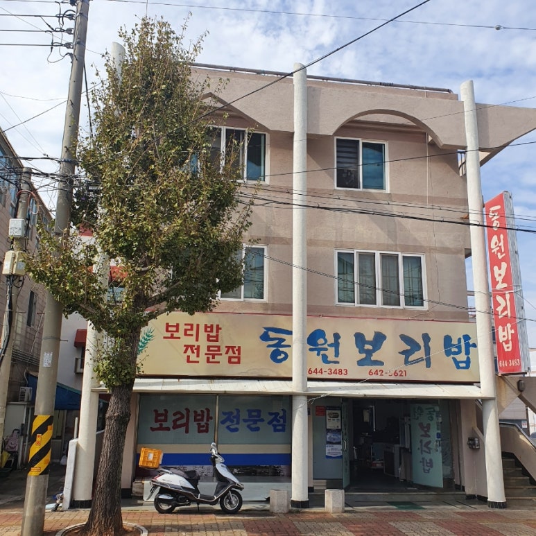 동원보리밥 이미지