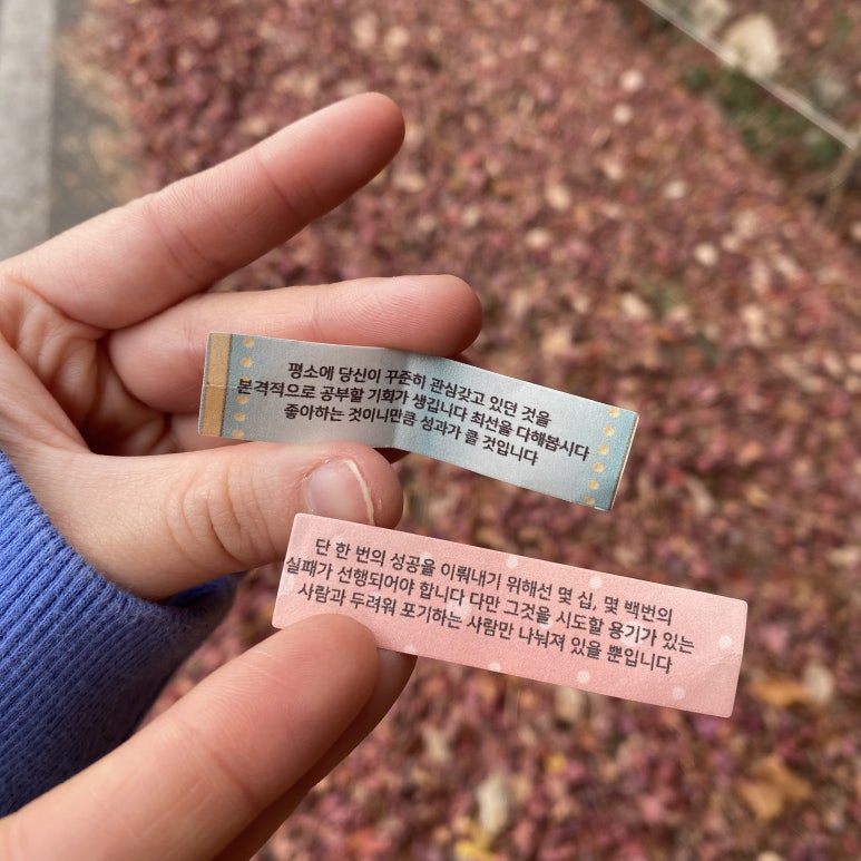 다시;봄김밥 이미지