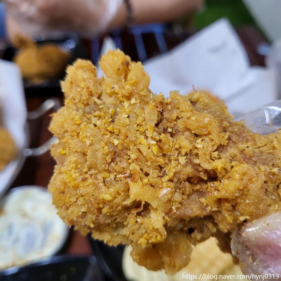 멕시카나익산 이미지