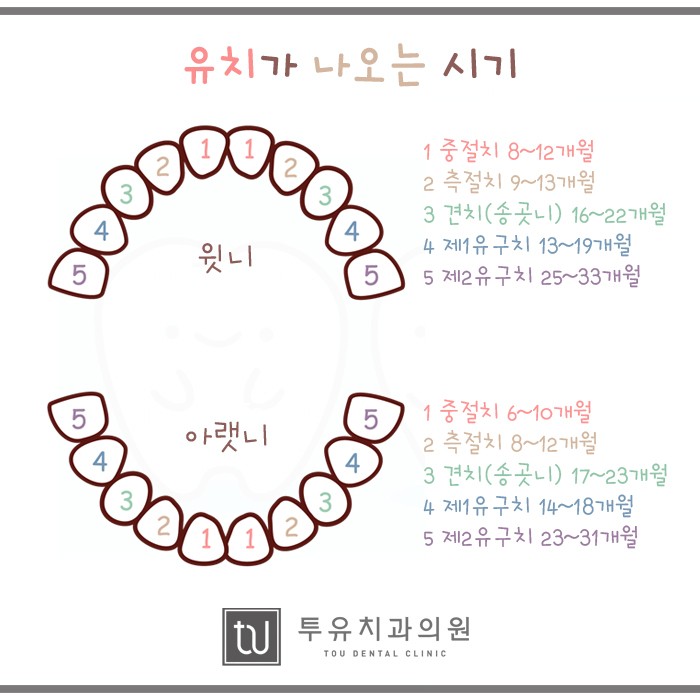 투유의원 이미지