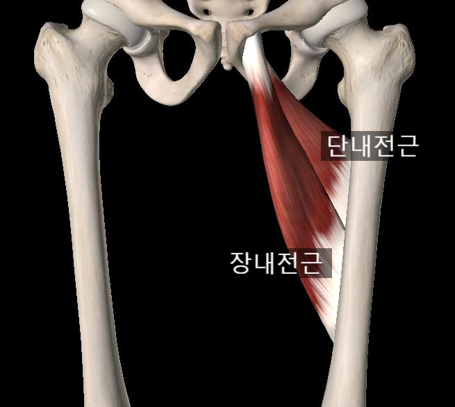 홍쌤스포츠 이미지