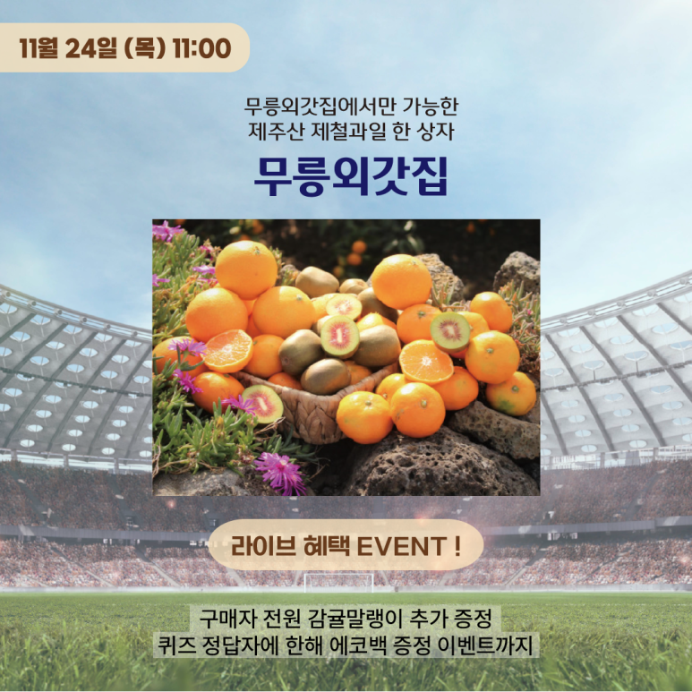 제주커머스 이미지