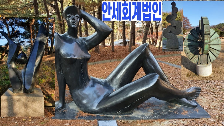 안세회계세무컨설팅 이미지