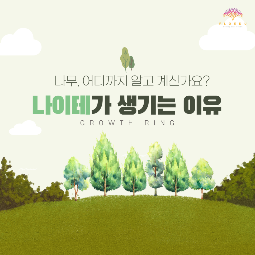 플라워에듀 이미지