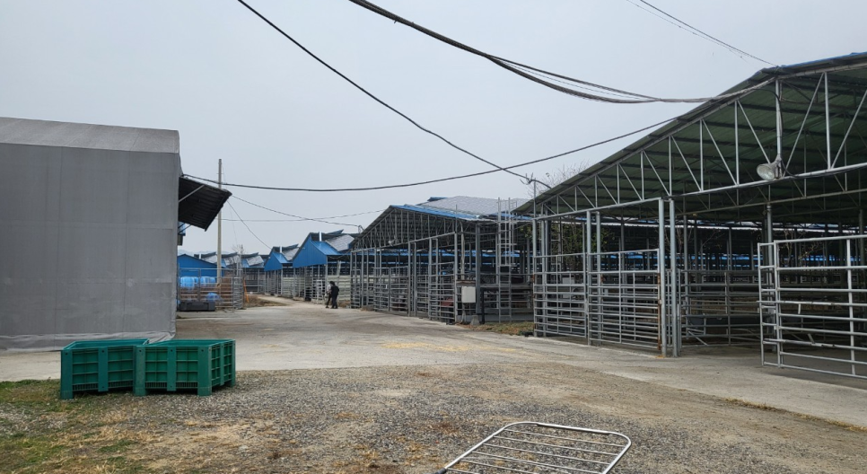충북사슴영농조합법인 이미지