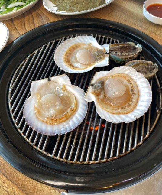 힘센민물장어 이미지