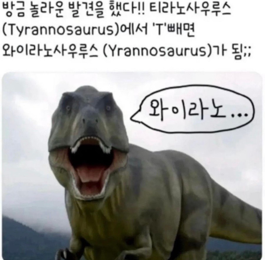 레브쥬르 이미지