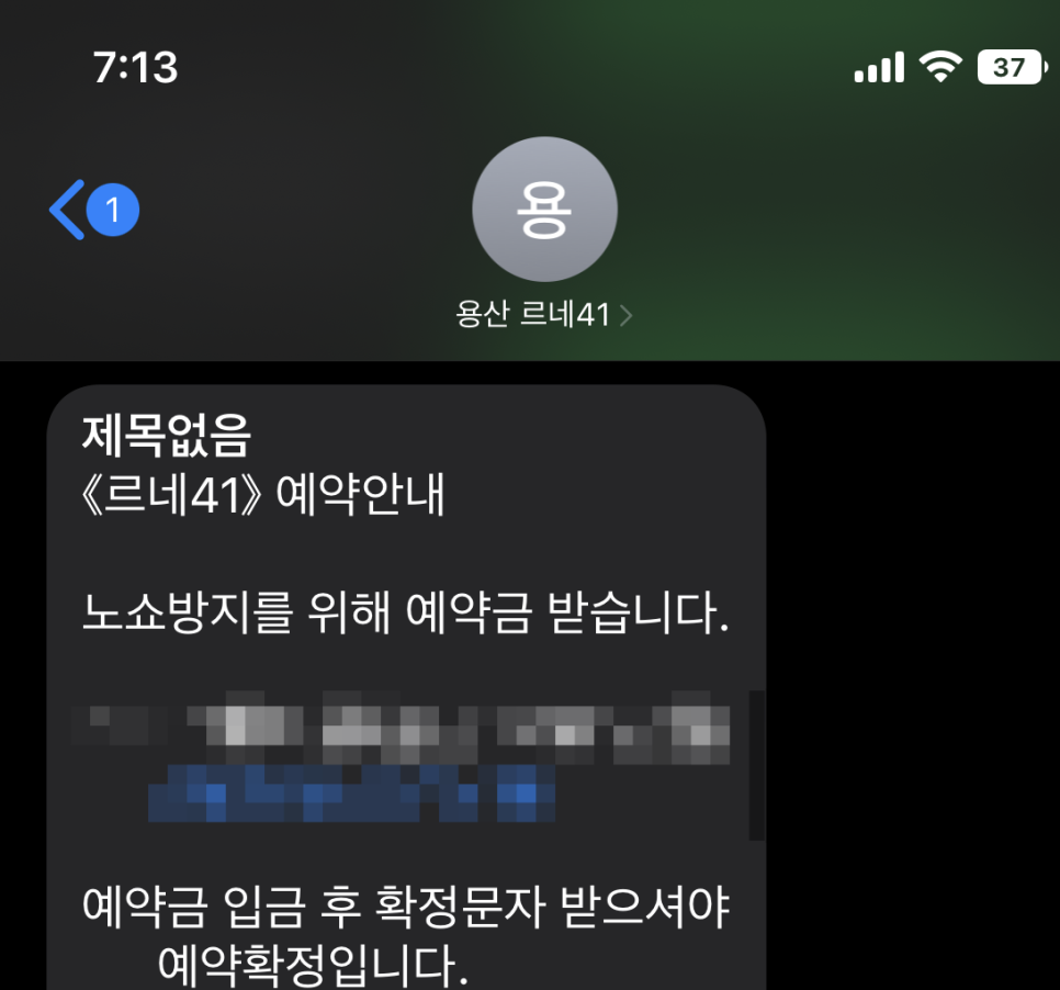 르네41 이미지