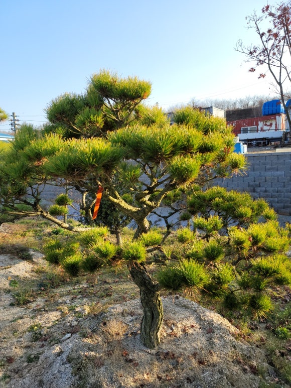 세종조경농원 이미지